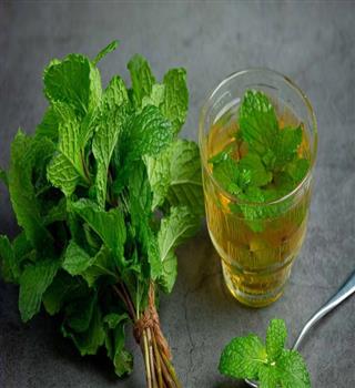 5 Super benefits of Mint
