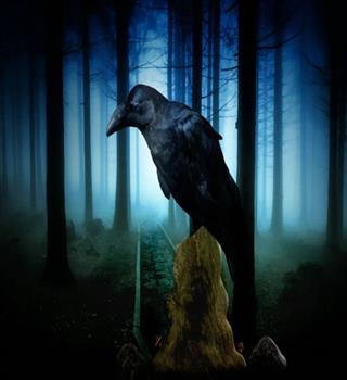 Crows in Hinduism – Messengers of the Ancestors