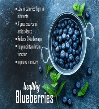 Benefits of Blueberries
