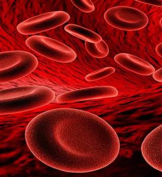 10 reasons why your body desperately needs vitamin B12?