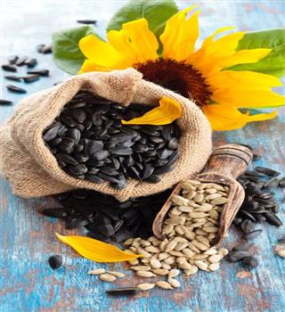 10 reasons to eat a spoonful of sunflower seeds every day