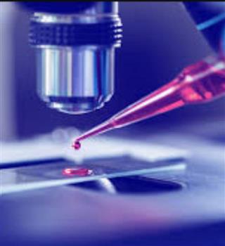 7 blood test every person must be aware about