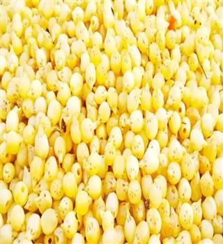 5 Benefits of Mahua: Will Disappear Soon