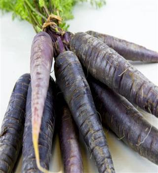 7 benefits of eating black carrot.