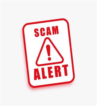 How to avoid getting scam online?