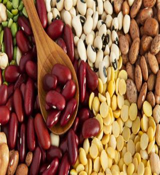 Types of Rajma Beans and benefits