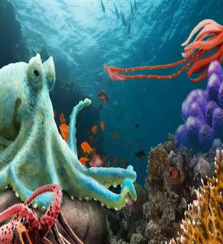 10 animals who don't have bones in their body.