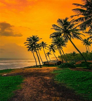 10 Interesting Facts About Kerala (God's Own Country)