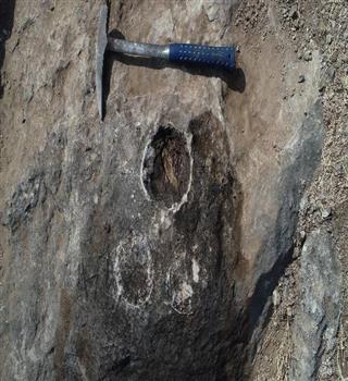 Rare dinosaur egg found in Madhya Pradesh