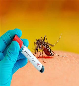 List of Signs and Symptoms of Dengue Fever