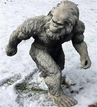 Mysterious Facts About Yetis