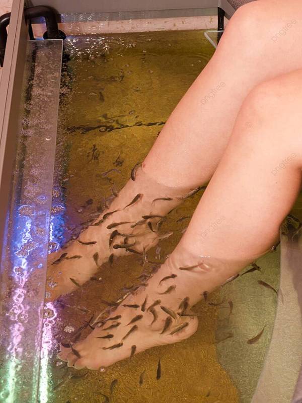 Fish Pedicure: Risks, Benefits, Safety, and Ethical Concerns