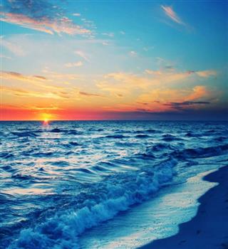 10 Most Beautiful Sea Animals