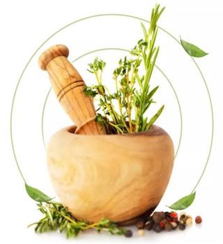 Ayurveda - 7 basic facts everyone needs to know