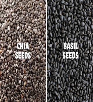 Chia vs Basil Seeds: What’s the Difference?