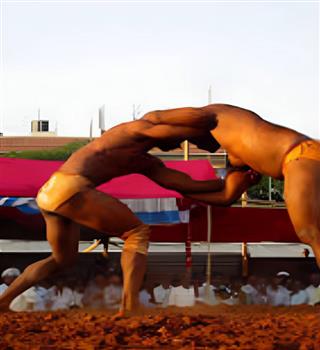 8 Indian wrestlers belong to Punjab