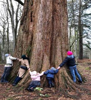 Tree Hugging – 5 Amazing Benefits