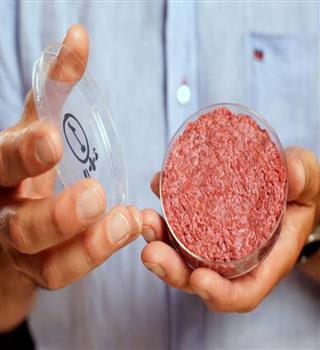 Have you heard about lab-grown meat?