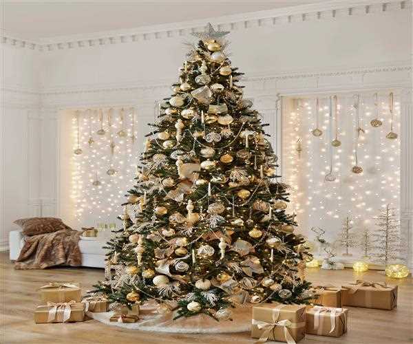 What makes the Christmas Tree important for Christians