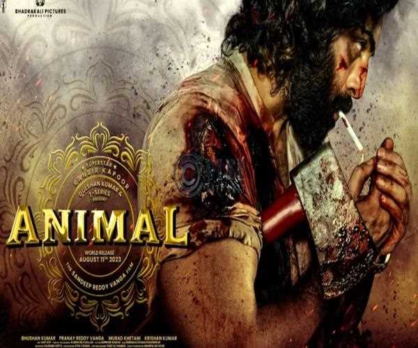 Genuine review of the Animal movie and it's Box Office Collection