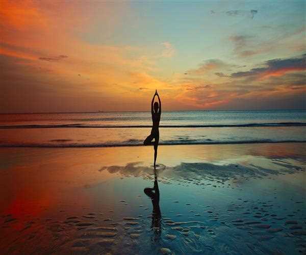 Purpose of Hatha Yoga in Indian Yogic Culture