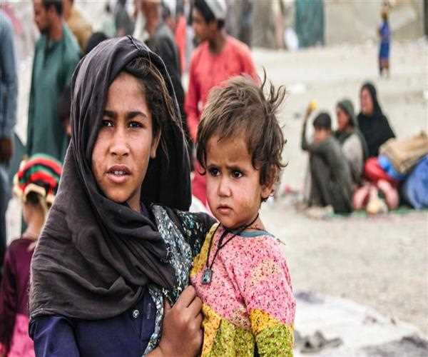 4,559 Afghan refugees expelled from Iran, Pakistan: Taliban