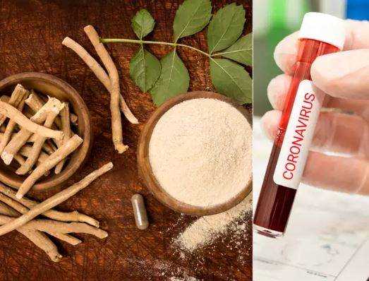 USA-India Join Hands For Ayurvedic Research Treatment For Covid-19