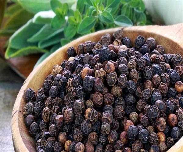 What are the health benefits of Black Pepper