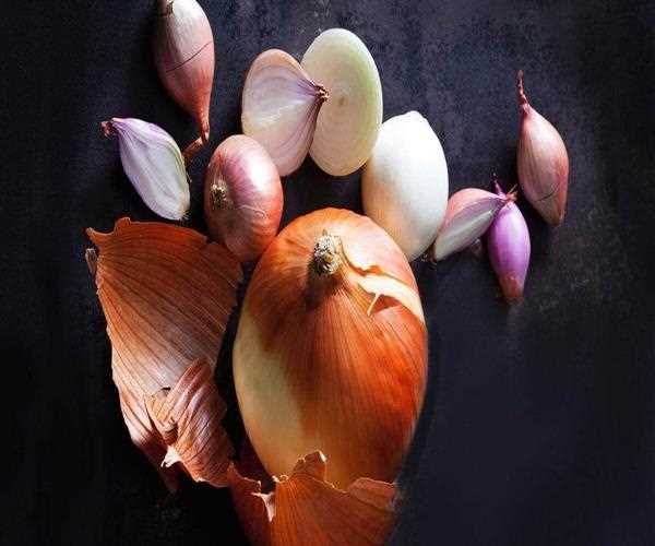 Health Benefits of Onion