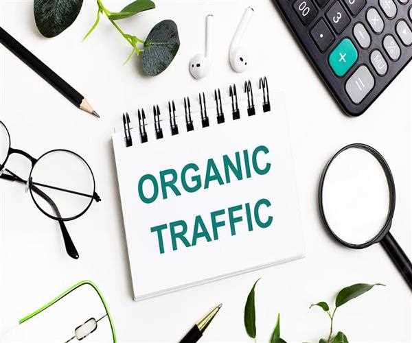 What are the reasons I am not getting organic Traffic