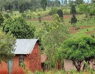 COVID-19 Is Doing Good For Enviroment