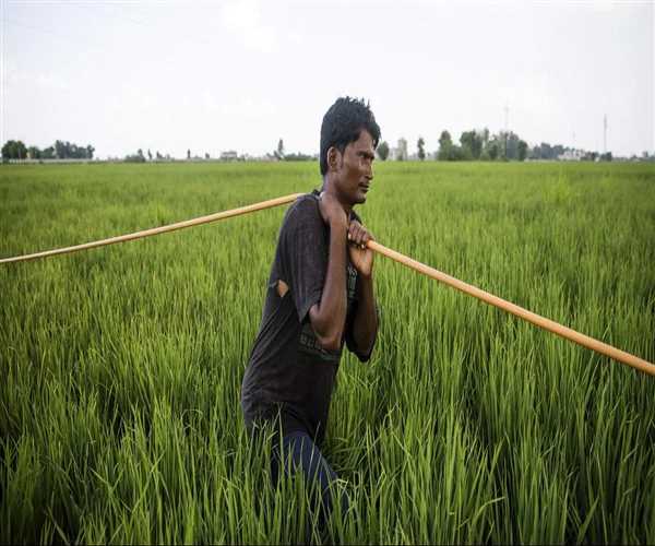 Why farmers are leaving interest in farming in India