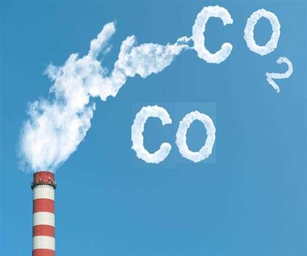 Pros and Cons of using Biomass as a renewable source of energy