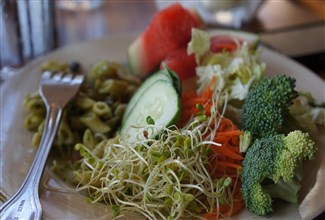 How to Build a High Protein Vegetarian Diet Plan for Muscle Gain