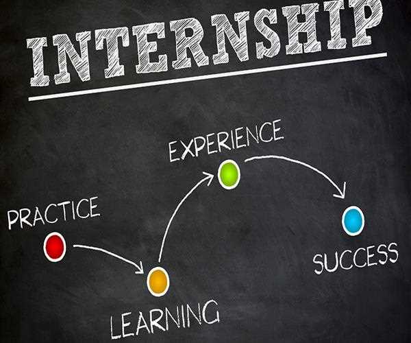 Internship and Training Programs for Future Growth in 2024: 10 Pros