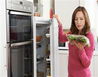 Buying Guide of Samsung 198 L 5-Star Digital Inverter Single Door Refrigerator
