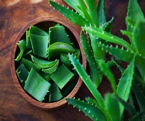 What are the benefits of aloe vera?