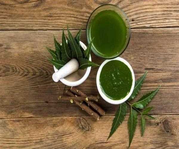 Amazing Health Benefits of Neem