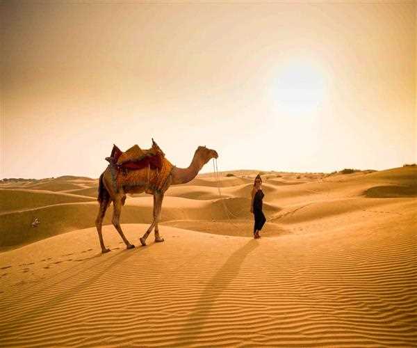 Best Destinations to Visit In Rajasthan