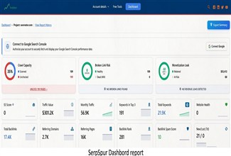 How Are You Handling SEO Tool Costs as a Freelancer?