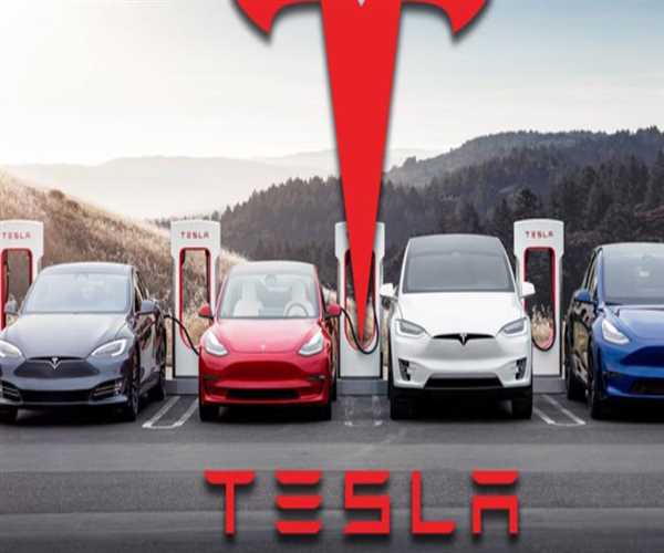 Future of Tesla in India