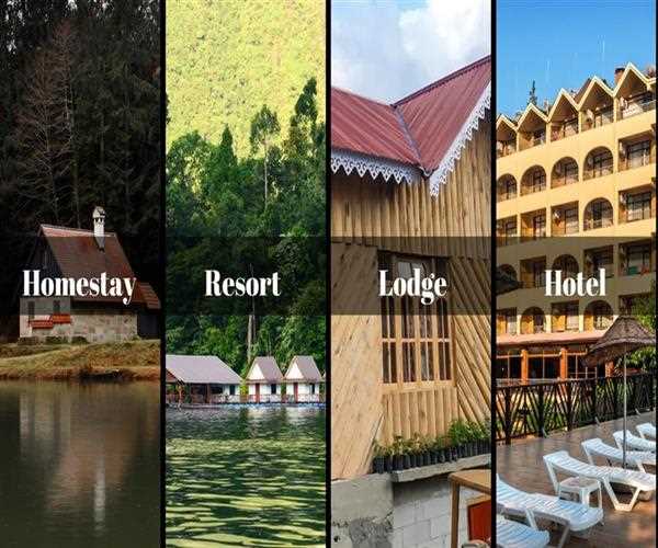 Homestay, Resort, Hotel, and Lodge: Understanding the Differences