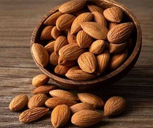 Benefits of eating almonds everyday- 2023 view