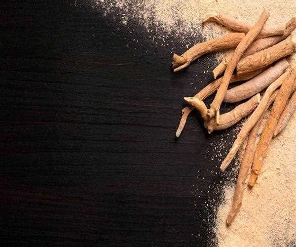 Ashwagandha: Rejuvenate of Ayurveda