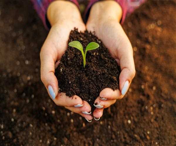 World's Soil Day- What Indian Vedas explained about the soil