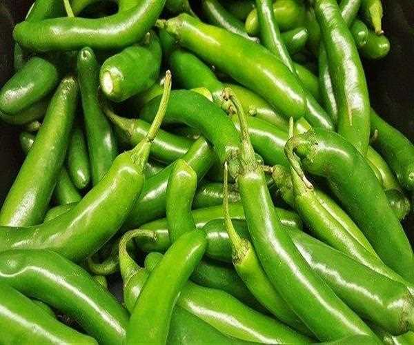 Why should we eat Green Chillies?