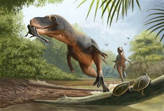 66-Million-Year-Old Feather Found in Fossilized Dinosaur Dung