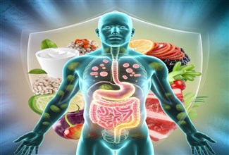 Gut Health Is the New Wealth: What Science Says?