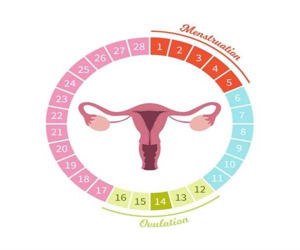 Can a hormonal imbalance affects women's menstrual cycle