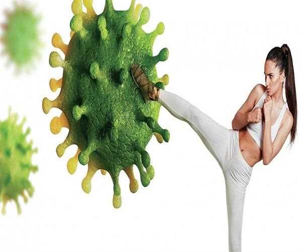 What is Giloy and its Health Benefits